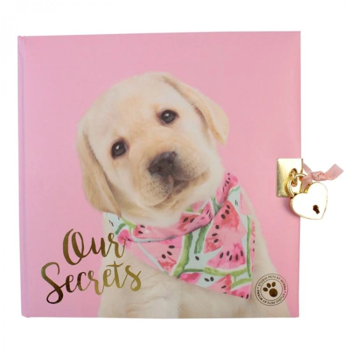 CEM STUDIO PETS PT-7790 18X18cm ÇİZGİLİ KİLİTLİ HATIRA DEFTERİ