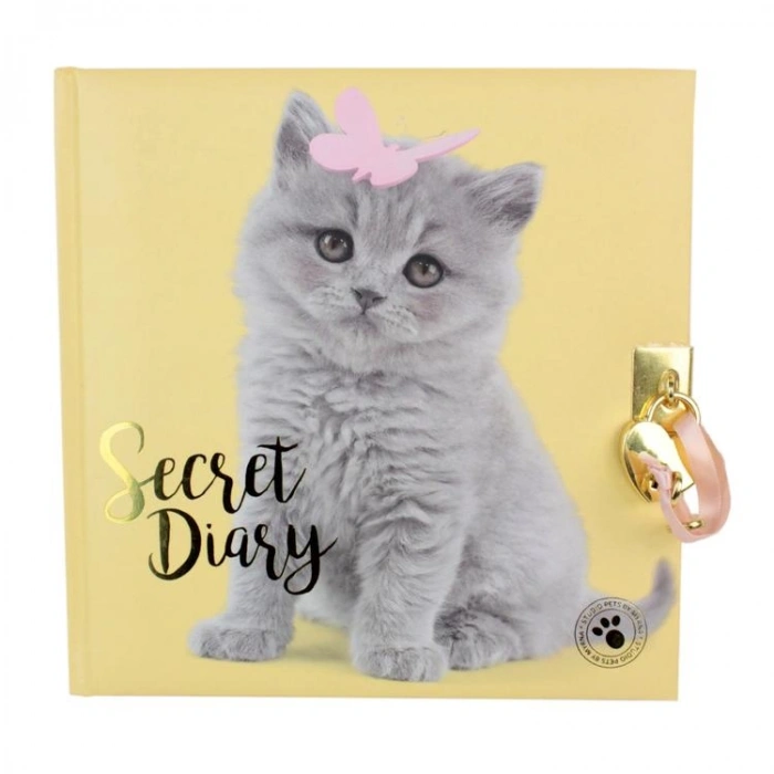 CEM STUDIO PETS PT-7790 18X18cm ÇİZGİLİ KİLİTLİ HATIRA DEFTERİ