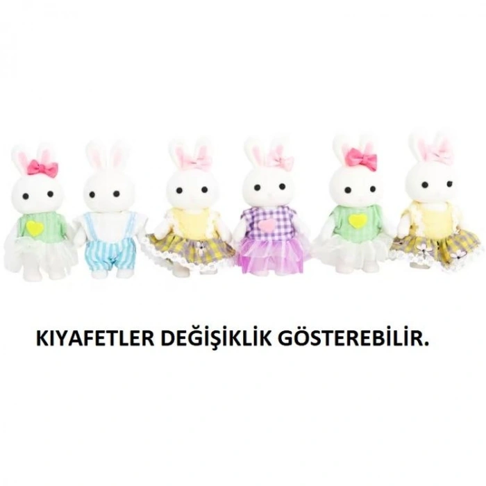 MEGA 6642 BAY DREAMY MINI AKSESUARLI PET DOĞUM GÜNÜ PARTİSİ SETİ 3+