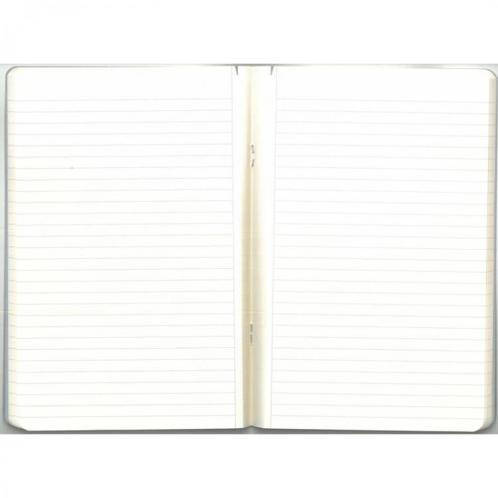 GIPTA ART MASTER 17X24  TEL DİKİŞLİ KARTON KAPAK 60 YP ÇİZGİLİ DEFTER 3664 - TEKLİ