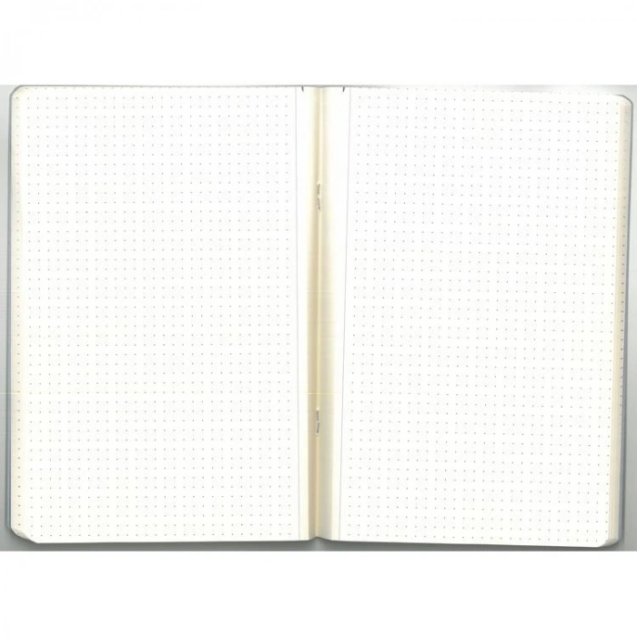 GIPTA ART MASTER 17X24  TEL DİKİŞLİ KARTON KAPAK 60 YP NOKTALI DEFTER 6095 - TEKLİ