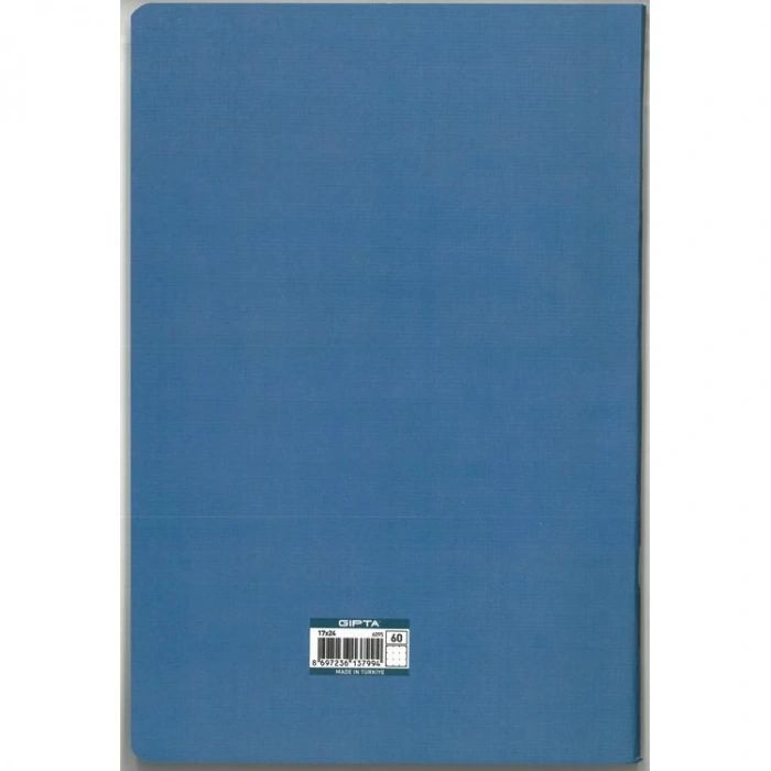 GIPTA ART MASTER 17X24  TEL DİKİŞLİ KARTON KAPAK 60 YP NOKTALI DEFTER 6095 - TEKLİ