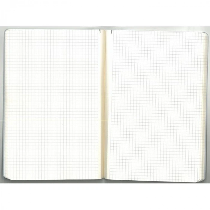 GIPTA ART MASTER 17X24  TEL DİKİŞLİ KARTON KAPAK 60 YP KARELİ DEFTER 3665 - TEKLİ