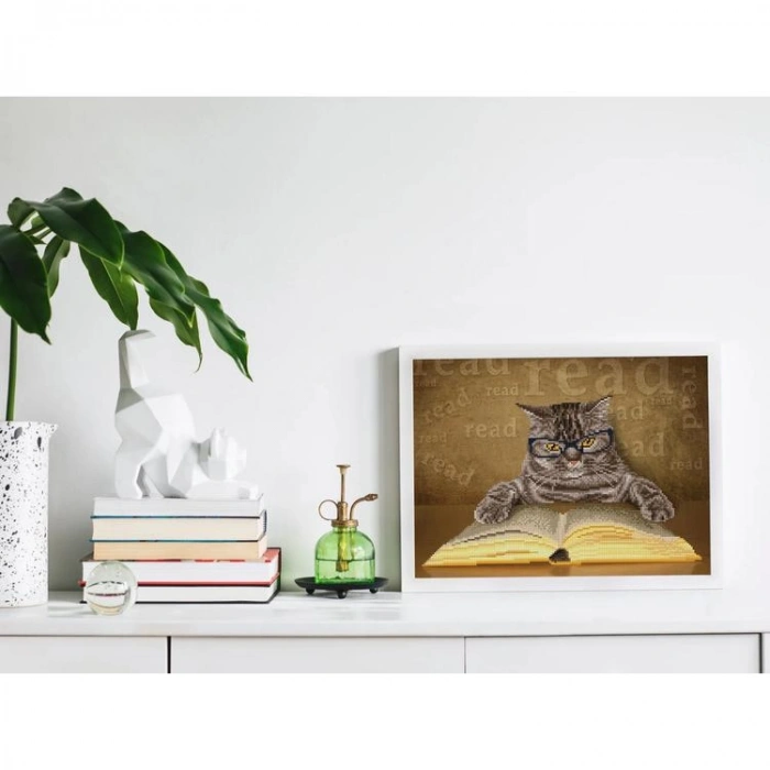 DIAMOND DOTZ SD6.402 I CAN READ 37x47 cm BONCUK TABLO KİTİ