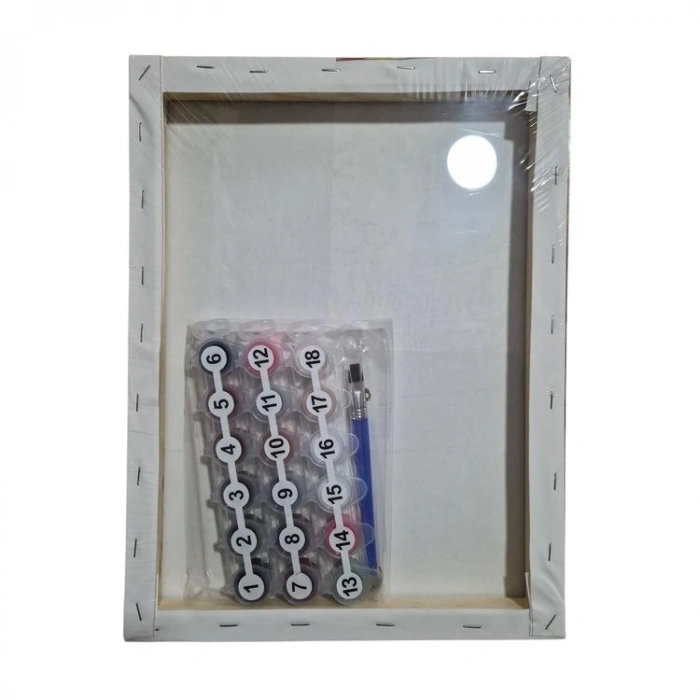 MİART MSB30424 30X40 SAYILARLA BOYAMA TUVAL - ROMENCE