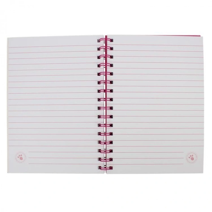 CEM STUDIO PETS PT-2411 ÇİZGİLİ PULLU SPİRALLİ 20,5X14,5 cm NOT DEFTERİ
