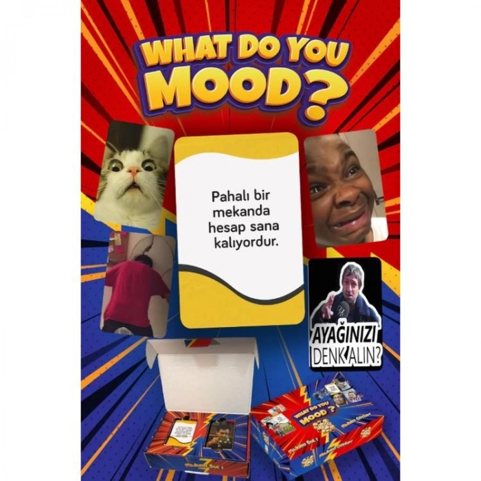 MOLFY WHAT DO YOU MOOD MODUNU GÖSTER MODUNU BUL KART OYUNU 242 KART 14+