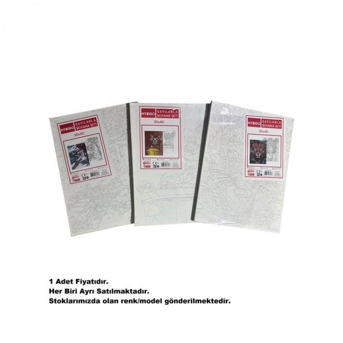 MYDİDO MYT3040SB 30X40CM SAYILARLA BOYAMA TUVAL SETİ  - TEKLİ