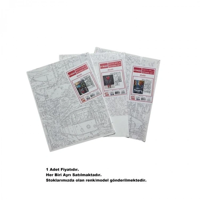 MYDİDO MYT4050SB 40X50CM SAYILARLA BOYAMA TUVAL SETİ  - TEKLİ