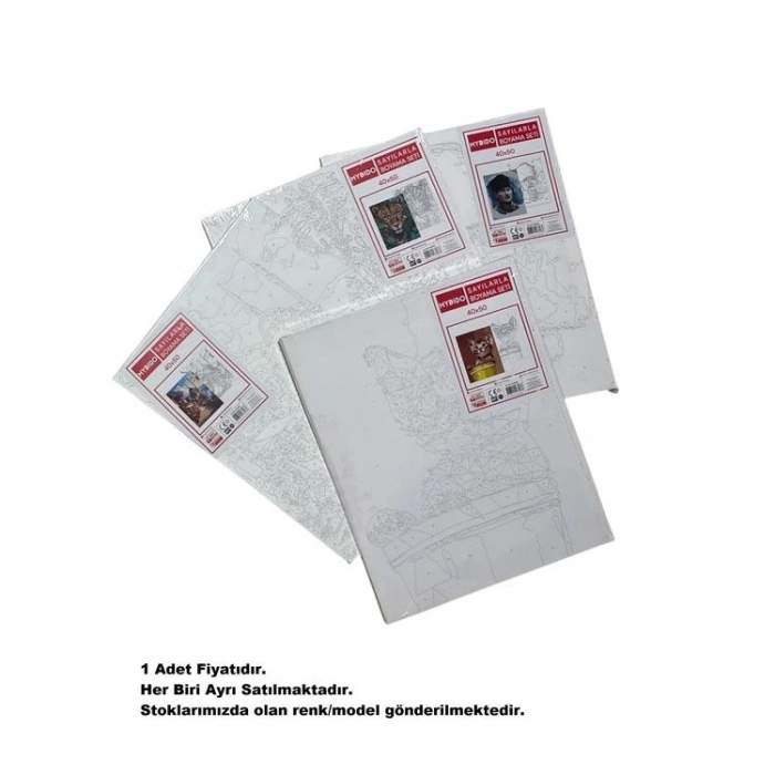 MYDİDO MYT4050SB 40X50CM SAYILARLA BOYAMA TUVAL SETİ  - TEKLİ
