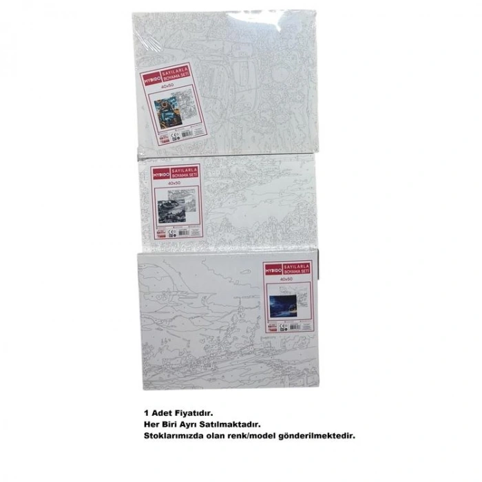 MYDİDO MYT4050SB 40X50CM SAYILARLA BOYAMA TUVAL SETİ  - TEKLİ