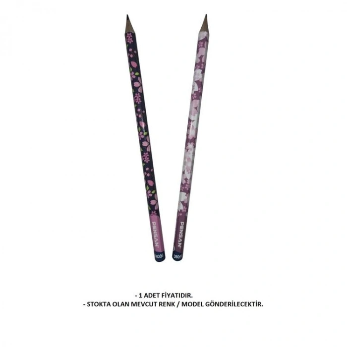 PENSAN 96080 FUN PENCILS BAHAR ÇİÇEKLERİ DESENLİ KURŞUN KALEM HB- TEKLİ