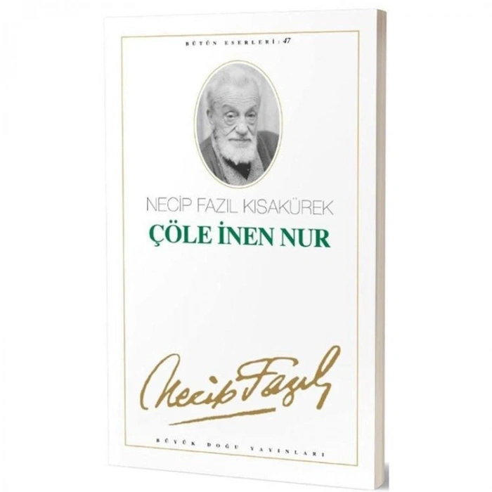 ÇÖLE İNEN NUR