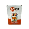 ŞEKİL SKL_PENBX SERAMİK KALEMLİK BOYAMA SETİ