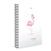 GIPTA MAGENTA SPİRALLİ 19X26 SPİRALLİ PP KAPAK KARELİ 80 YP. DEFTER
