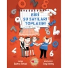 BİRİ ŞU SAYILARI TOPLASIN