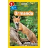 NATIONAL GEOGRAPHIC KIDS -  ORMANDA 1. SEVİYE