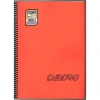 GIPTA CHROMO SPİRALLİ PP. KAPAK A4 60YP. ÇİZGİLİ DEFTER - 1978