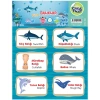 CREA ETİKET  - İNGİLİZCE TÜRKÇE DENİZ CANLILARI & BALIKLAR 1141