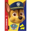 PAW PATROL MASKELİ BOYAMA KİTABI