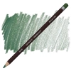 DERWENT COLOURSOFT - YUMUŞAK KURUBOYA KALEMİ- MID GREEN C400