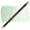 DERWENT COLOURSOFT - YUMUŞAK KURUBOYA KALEMİ-  PALE MINT C490