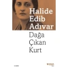 DAĞA ÇIKAN KURT