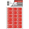 TANEX BYRK-103 32x22mm TÜRK BAYRAĞI ETİKETİ 2Lİ