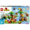LEGO DUPLO 10973 VAHŞİ GÜNEY AMERİKA HAYVANLARI  71 PARÇA