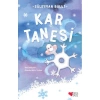 KAR TANESİ