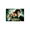 HARRY POTTER 17X25 SPİRALLİ RESİM DEFTERİ 15YP.