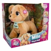 SUNMAN 81314 HAREKETLİ SESLİ PELUŞ KÖPEK MİLO 18AY+