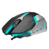 EVEREST SM-G72 USB AYDINLATMALI OYUNCU MOUSE SİYAH/GÜMÜŞ