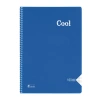 KESKİN COOL PP KAPAK SPİRALLİ DEFTER A4 160 YP. KARELİ
