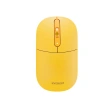EVEREST SMW-384 USB SARI 2.4 GHZ KABLOSUZ MOUSE