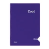 KESKİN COOL PP KAPAK SPİRALLİ DEFTER A4 72 YP. ÇİZGİLİ