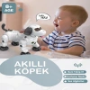VARDEM 777-602A UZAKTAN KUMANDALI IŞIKLI VE SESLİ AKILLI ROBOT KÖPEK