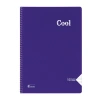 KESKİN COOL PP KAPAK SPİRALLİ DEFTER A4 160 YP. ÇİZGİLİ