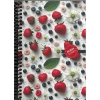 GIPTA BERRY NOTES SPİRALLİ SERT KAPAK 17x24 120YP. KARELİ DEFTER