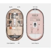EVEREST SM-BT29 GLASSY USB ROSE GOLD TRANSPARAN BLUETOOTH VE 2.4GHZ KABLOSUZ MOUSE