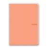 KESKİN PASTEL NOTE PP KAPAK SPİRALLİ DEFTER A4 60 YP. KARELİ