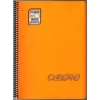 GIPTA CHROM-O SPİRALLİ  PP. KAPAK A4 80YP.ÇİZGİLİ DEFTER -1337
