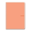 KESKİN PASTEL NOTE SPİRALLİ PP KAPAK DEFTER A4 80 YP. ÇİZGİLİ