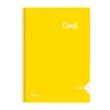 KESKİN COOL PP KAPAK SPİRALLİ DEFTER A4 40 YP. ÇİZGİLİ