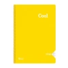 KESKİN COOL PP KAPAK SPİRALLİ DEFTER A4 160 YP. KARELİ