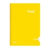 KESKİN COOL PP KAPAK SPİRALLİ DEFTER A4 96 YP. KARELİ