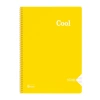 KESKİN COOL PP KAPAK SPİRALLİ DEFTER A4 160 YP. ÇİZGİLİ