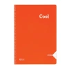 KESKİN COOL PP KAPAK SPİRALLİ DEFTER A4 40 YP. ÇİZGİLİ