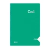 KESKİN COOL PP KAPAK SPİRALLİ DEFTER A4 40 YP. ÇİZGİLİ