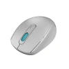 EVEREST SMW-87 USB 2.4Ghz  KABLOSUZ MOUSE GRİ